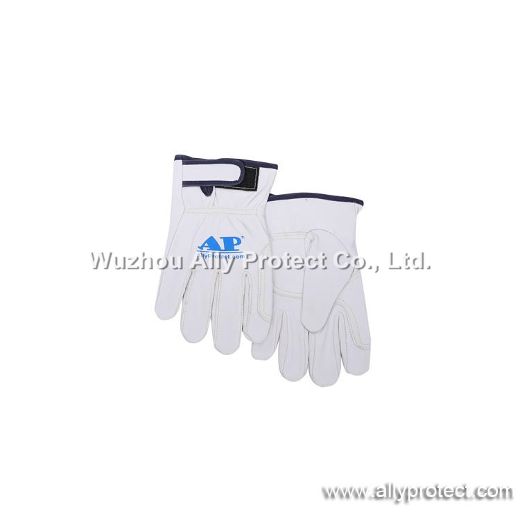 AP-1189 Top Grain Goatskin Gloves